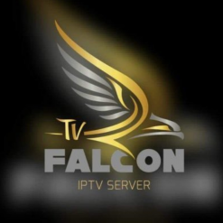 Falcon 24 Months 2 Connections + 12 Months Free | https://4k4all.com/product/falcon-24-months-2-connections/